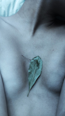 thepureskin:  c-o-l-d—h-a-n-d-s:  ⌕ by Silence Effects on Flickr.