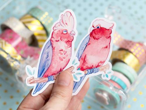 littlealienproducts: Galah Cockatoo Stickers by MayleeDraws