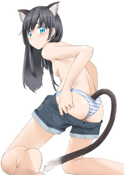 azunyann:  ~doko demo neko~