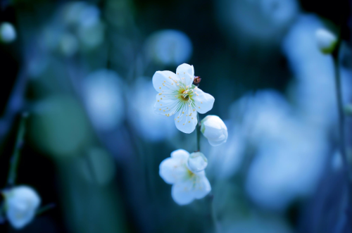 atraversso:  Kiss me  by YUYU Photography porn pictures