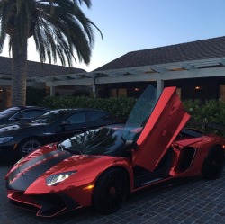 thug-of-arabia:  Aventador SV