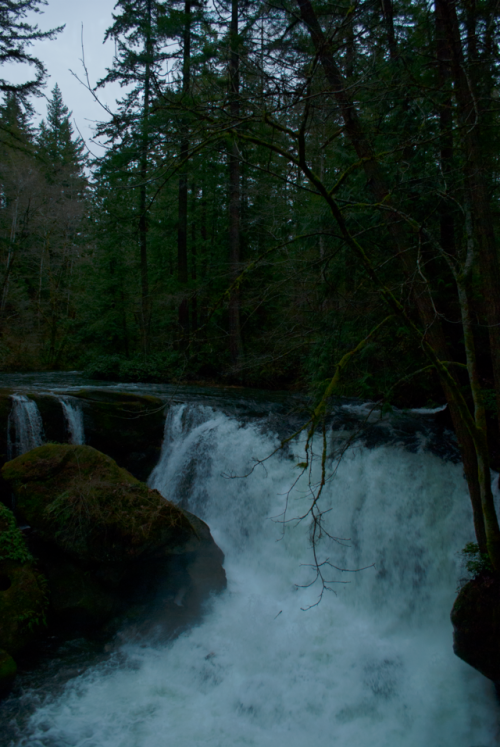 dreary currentWhatcom Falls, WA