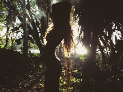 greenmountainson:gypsyone:Fairy ParadiseShe ties in so well.