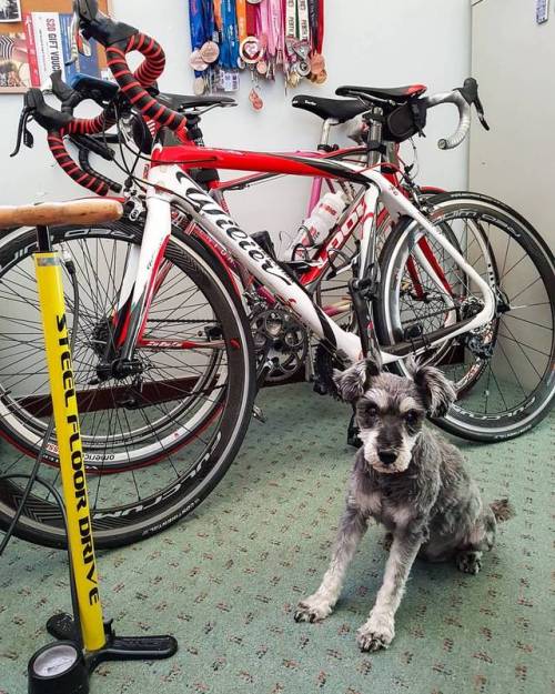 “Mum wanted you to know that she still rides a bike and, back willing, plans to take out the Look on