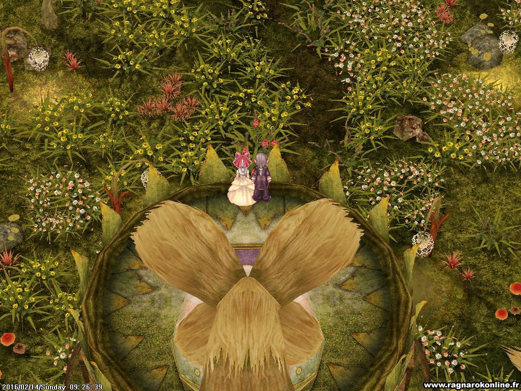 Happy Valentine’s day from Eclage &amp; Blooming Flowerland! ♥