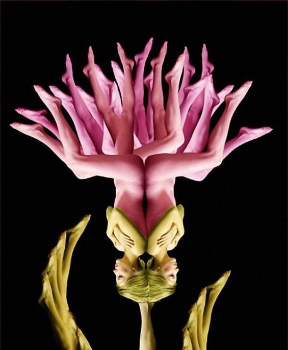 nevver:  Flora and fauna 