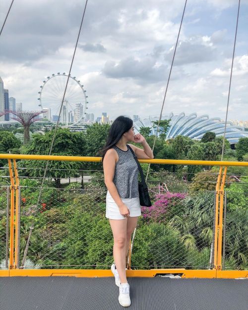 Views from the canopy skywalk  . . . . . #ocbcskyway #singapore #supertreegrove #supertrees #explore