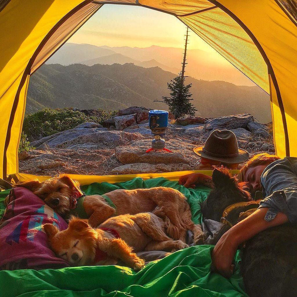 awwww-cute:  Good morning, aww (Source: http://ift.tt/2ltHNx7)
