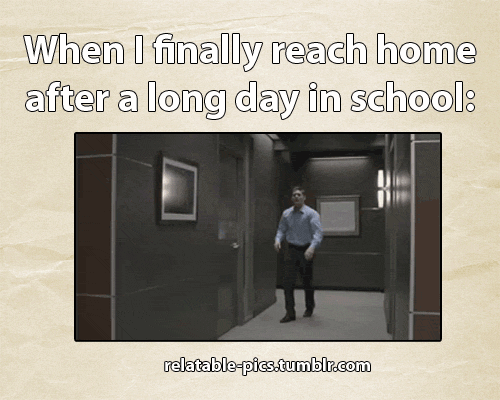 The Absolute Best GIFs
