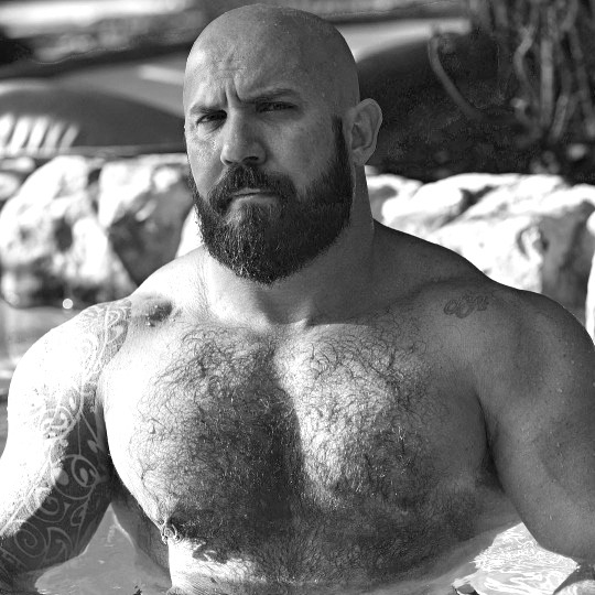 hairychestg:  abeautifulindiscretion:  Bear In Mind   hairychestg 