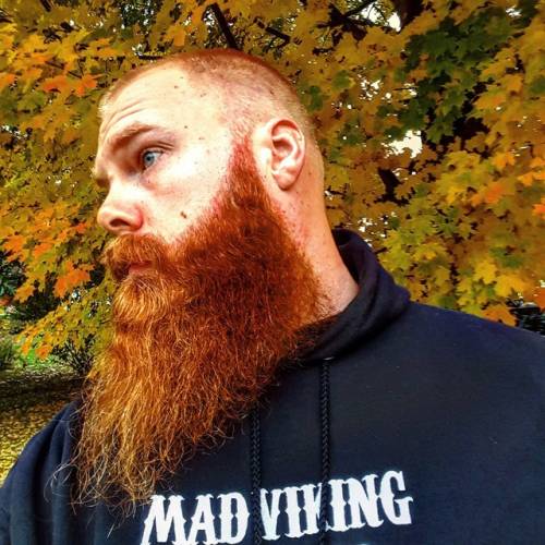 Mad Viking