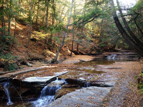 zeump: Favorite photos of 2015. Top two from my phone, at Buttermilk Falls. The rest are film, and t