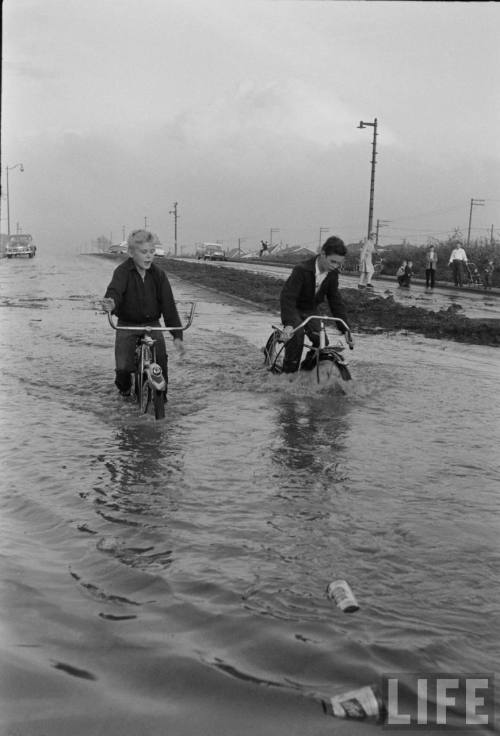 Flooding around Chicago(John Dominis. 1954)