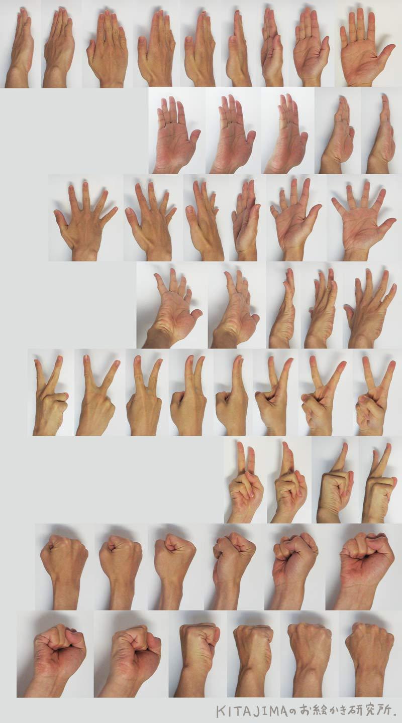 furbys5:  capricoto:  drawthatshitt:  HANDS REFERENCE Source: 1 (x)2 (x)3 (x)  Because