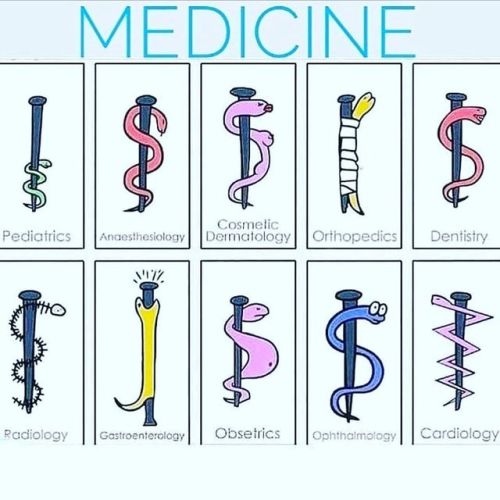 resuscitationist:#medicine #asclepiuswww.instagram.com/p/B1kC3YnBFFm/?igshid=140n6mqrpq3rz