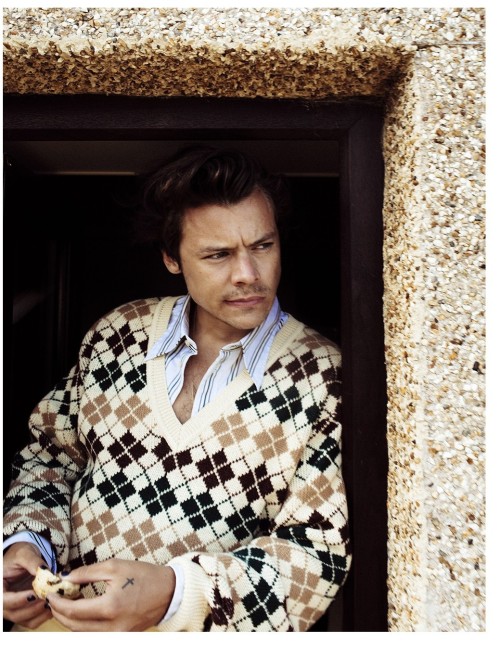 I Don't Wanna Transform It Into The Fanpage, But Harry Styles Makes Me Do It