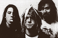 missworldz:  We told him (Dave Grohl) that if he didn’t join the band we would kill him. Now he’s still living in fear, a perpetual state of being kidnapped all the time. And we make him buy us drinks. -Krist Novoselic 