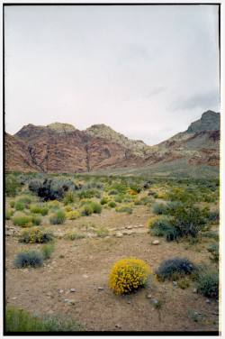 heerethere:  outside Vegas, May 19′