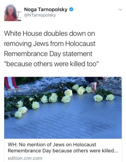 since1938:  weavemama: They pulled an “all lives matter” on the fucking Holocaust……  How the fuck y’all continue to deny the antisemitism in this administration is beyond me 