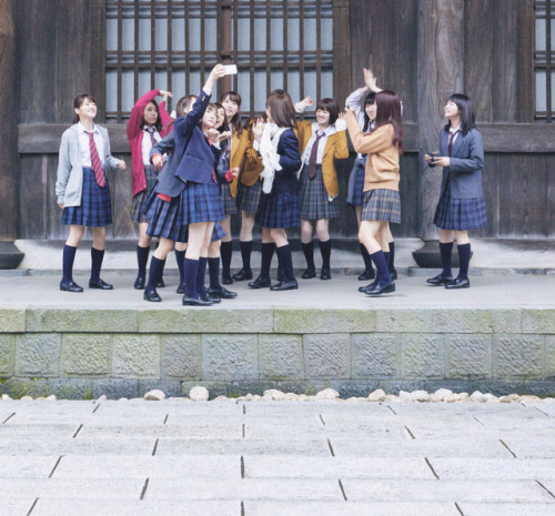 omiansary27:  Nogi-chans