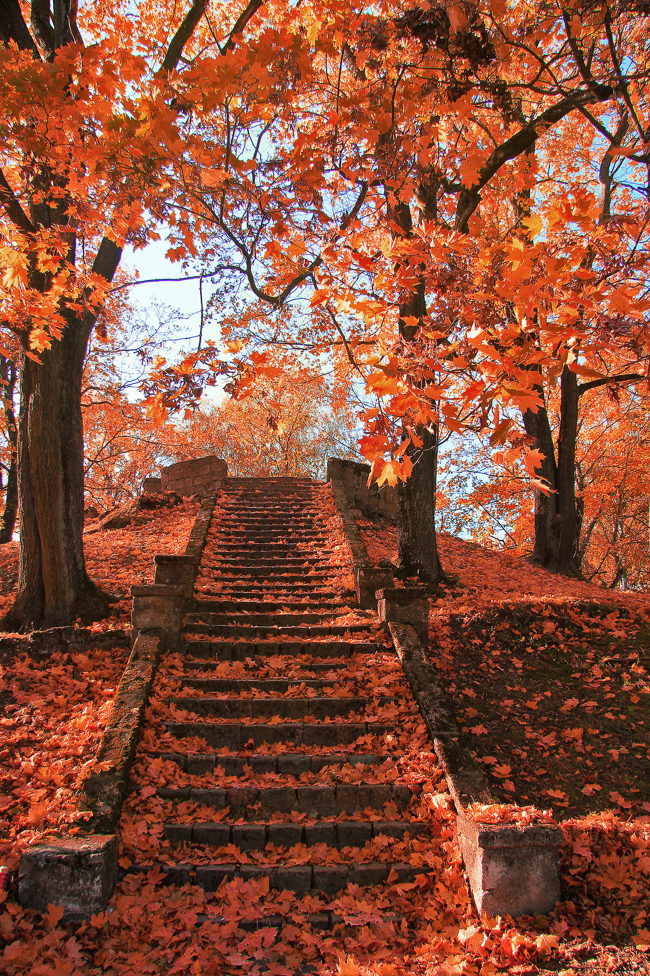 silvaris: Autumn in old Park by Dan RaizPhoto   Ooo~! &lt;3