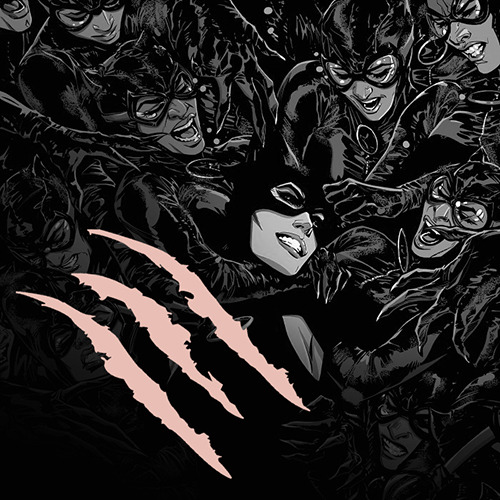 queen-harley-quinn: Catwoman’s  New suit 