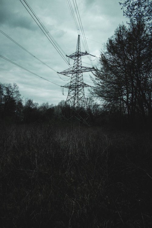 ghostlightlibrarian - Library of Ghostlights