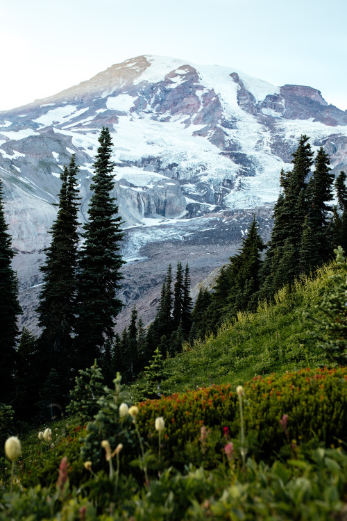 jonahreenders: Mt. Rainier National Park Jonah Reenders | Instagram