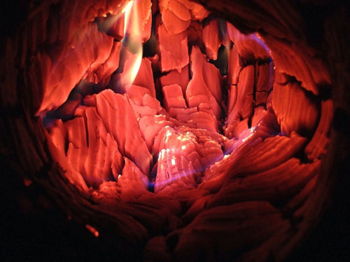 cupcakekhaleesi:sixpenceee:The Inside of a burning log(Image Source)Inspiration for my future throne