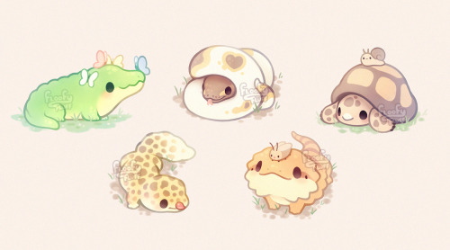 fluffysheeps:It’s reptile hoursThese are all so cute!