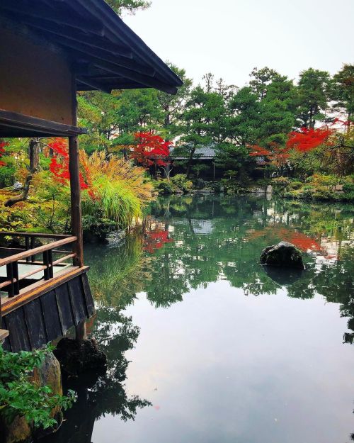 清水園（清水谷御殿庭園）[ 新潟県新発田市 ] ② Shimizuen Garden, Shibata, Niigata ーー銀閣寺御用達庭師 #田中泰阿弥 に修復された、江戸時代に新発田藩主・溝口家