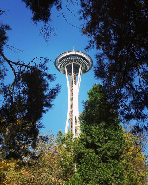 . . . #seattle #spaceneedle #washington #pnw #pacificnorthwest #visitseattle (at Space Needle)