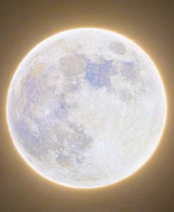 cowboy:the first full moon of 2021, Sophie&rsquo;s moon[credit: @rami_astro on