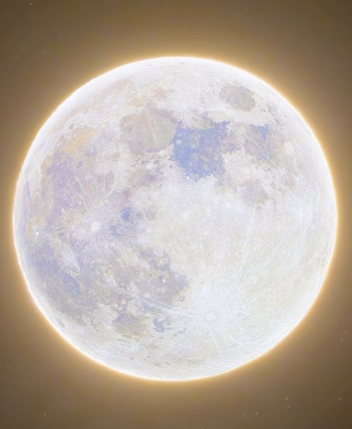 Sex cowboy:the first full moon of 2021, Sophie’s pictures