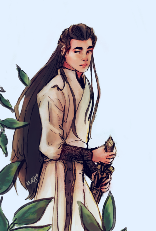 qi zhikan - men with sword. i love him and miss him ;-; another attempt at a particular coloring sty