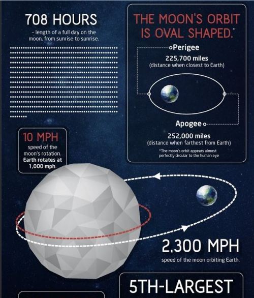 sixpenceee:  50 Amazing Fact About the Moon (Source) 