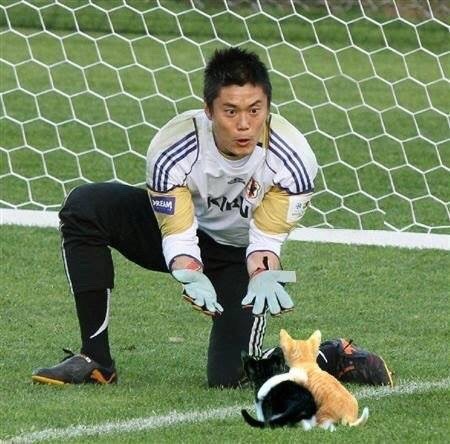 volcainist:Goalkeepers’ balls get photoshopped into cats.Now this is the kind of content that I am h