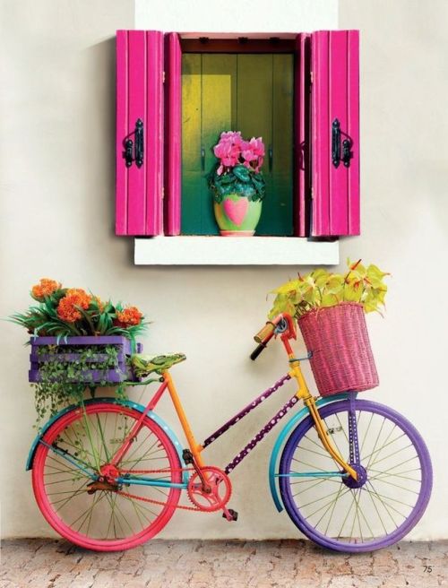 quipmo: Colors #Quipmo #GearRental #Surf #Bike #Snow #AdventureToday #FindYourRide www.quipmo.com