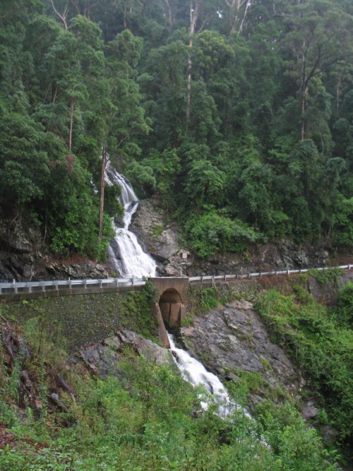 oceaniatropics:Waterfall Way, Armidale, NSW, Australia