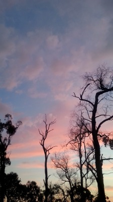 topbilbo:  These clouds though 😍