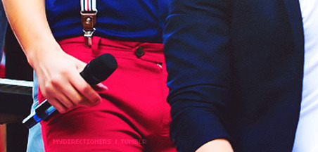 Louis Tomlinson&rsquo;s bulge (One Direction)