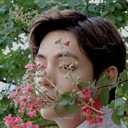 The Most Beautiful Flower