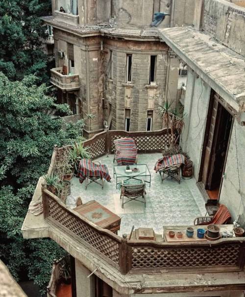 oxane: Nour Elmassry, Garden City (Cairo, Egypt)
