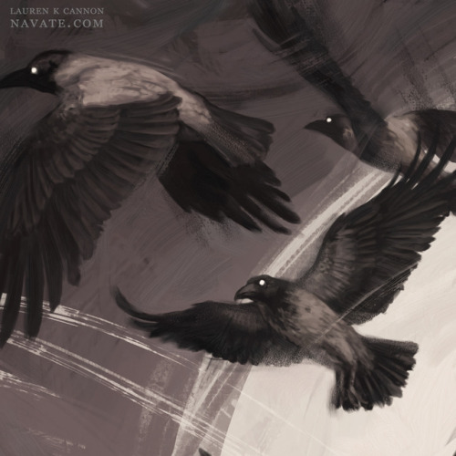 Almost done with this one! Here are some more birds. I had a three-day mini migraine, which was awfu