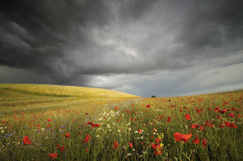 expressions-of-nature:Before the Storm, Malbork, Poland by Jan Siemiński