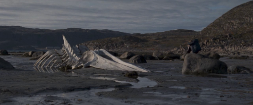 cumbluzinski:  Leviathan (dir. Andrey Zvyagintsev) 