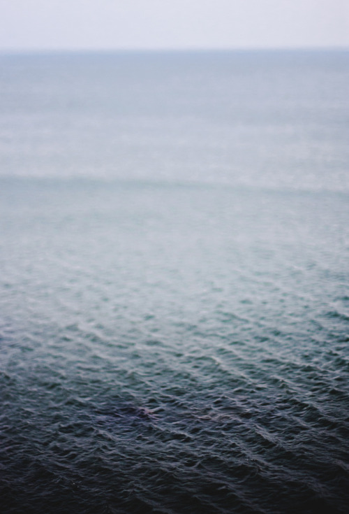 vacants:  (by Tom.Coleman)
