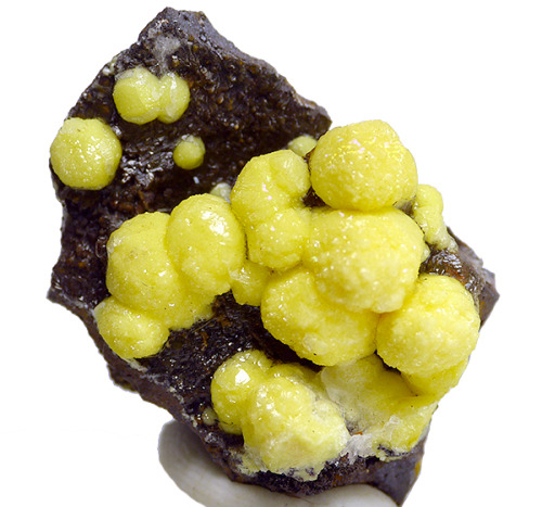 Yellow Vanadinte on matrix - Vein 12, Taouz, Er Rachidia Province, Morocco