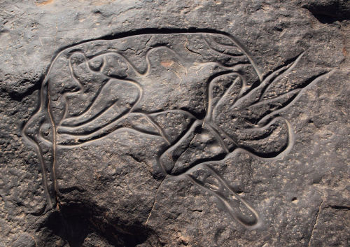 wyrtig:Petroglyph of an antelope or gazelle from Tin Taghirt in southern Algeria.