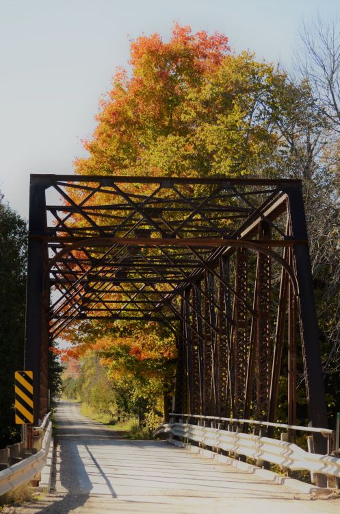 Autumn roads… Grey County, Ontario.  Long weekend wanderings looking for fall colours https:/